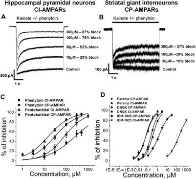 Screening for Activity Against AMPA Receptors Among Anticonvulsants—Focus on Phenytoin